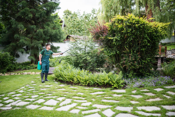 Best Lawn Renovation and Restoration  in Jackson, OH