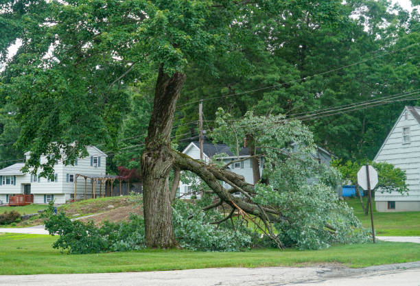 Seasonal Cleanup (Spring/Fall) in Jackson, OH